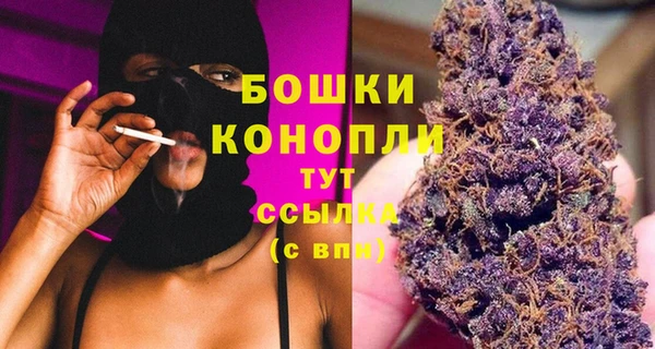 молекула духа Бугульма