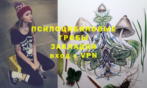 прущая мука Саяногорск