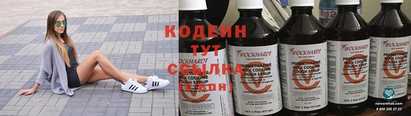 амф Бородино