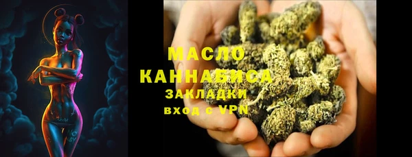 амф Бородино