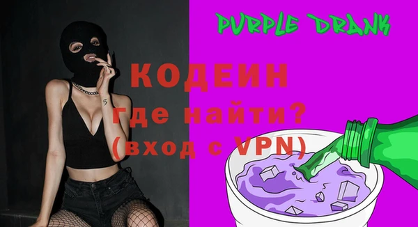 амф Бородино